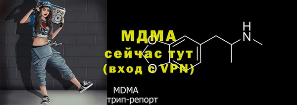 индика Алагир