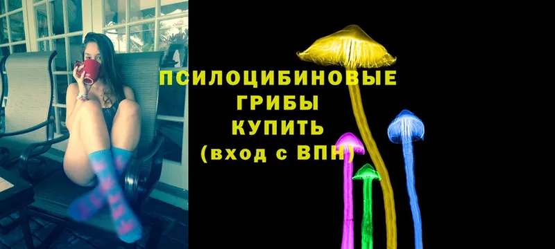 Галлюциногенные грибы Magic Shrooms  цены наркотик  Вилюйск 