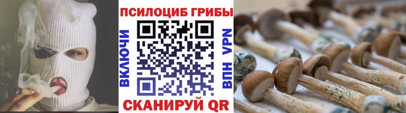 Псилоцибиновые грибы ЛСД  Вилюйск 